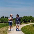 two individuals walking on walkway in park